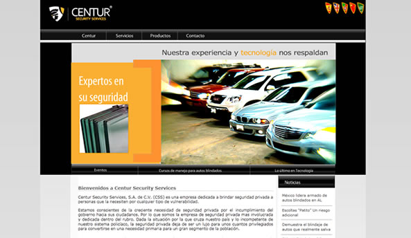 Centur Security web design