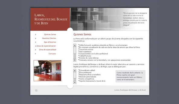 Larios web design